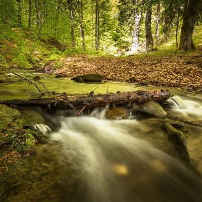 ayx爱游戏全站下载手机版